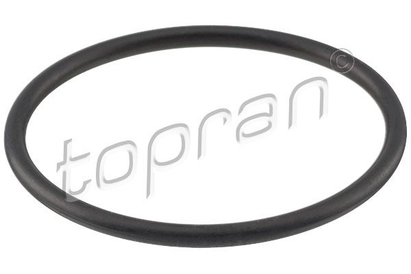 Прокладка термостата TOPRAN 100574 - zapix