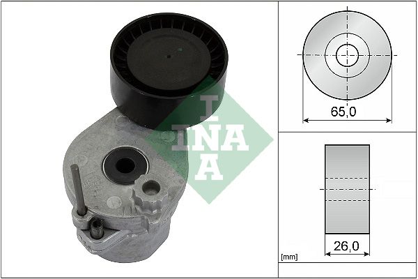 Натяжний пристрій ременя поліклінового SCHAEFFLER INA 534069310 - zapix