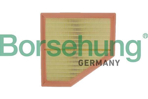 Повітряний фільтр BORSEHUNG B12695 - zapix