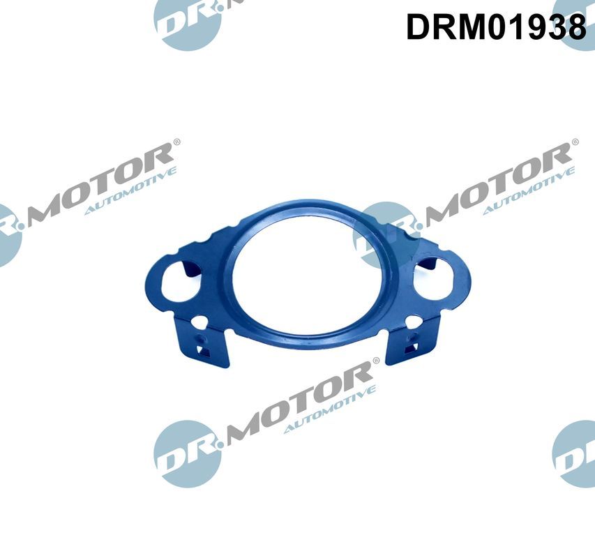 Прокладка EGR DR.MOTOR AUTOMOTIVE DRM01938 - zapix