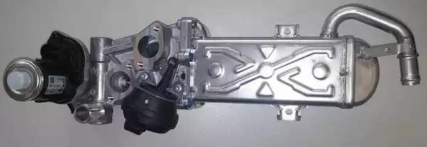 Модуль EGR у сборі BORGWARNER (WAHLER) 710861D - zapix