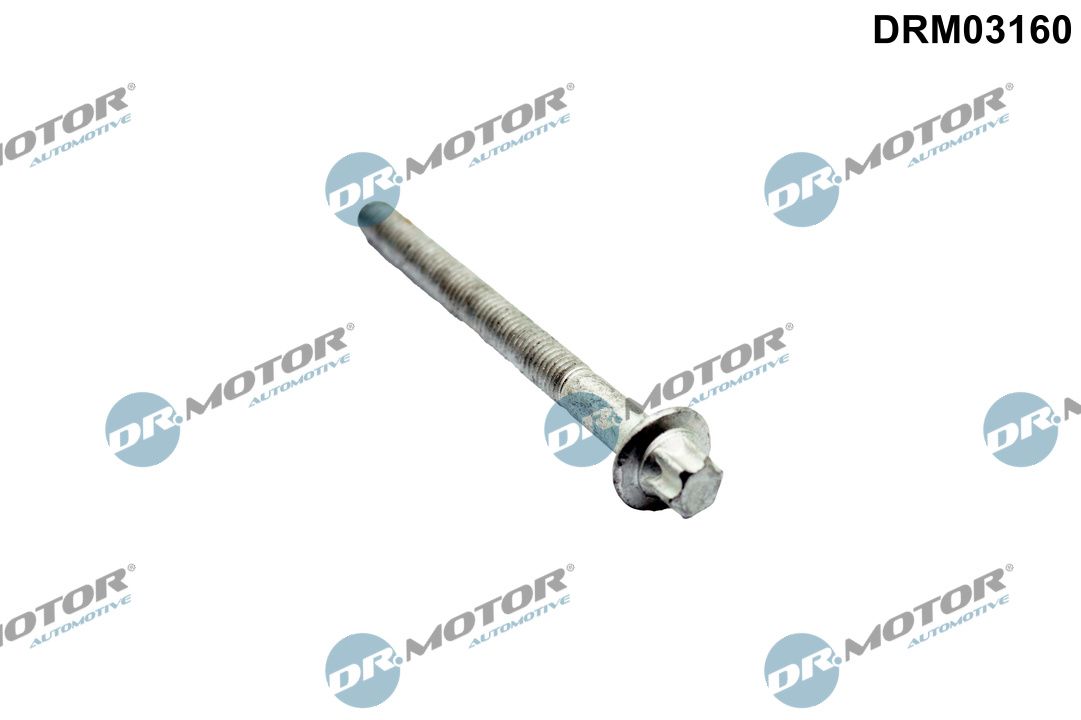 Гвинти голівки циліндра DR.MOTOR AUTOMOTIVE DRM03160 - zapix