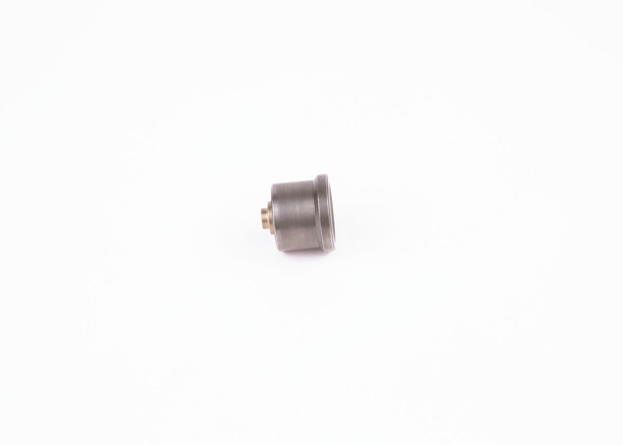 Клапан ПНВТ BOSCH 2418552105 - zapix