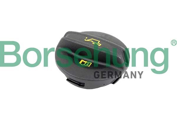 Кришка маслозаливної горловини BORSEHUNG B10670 - zapix