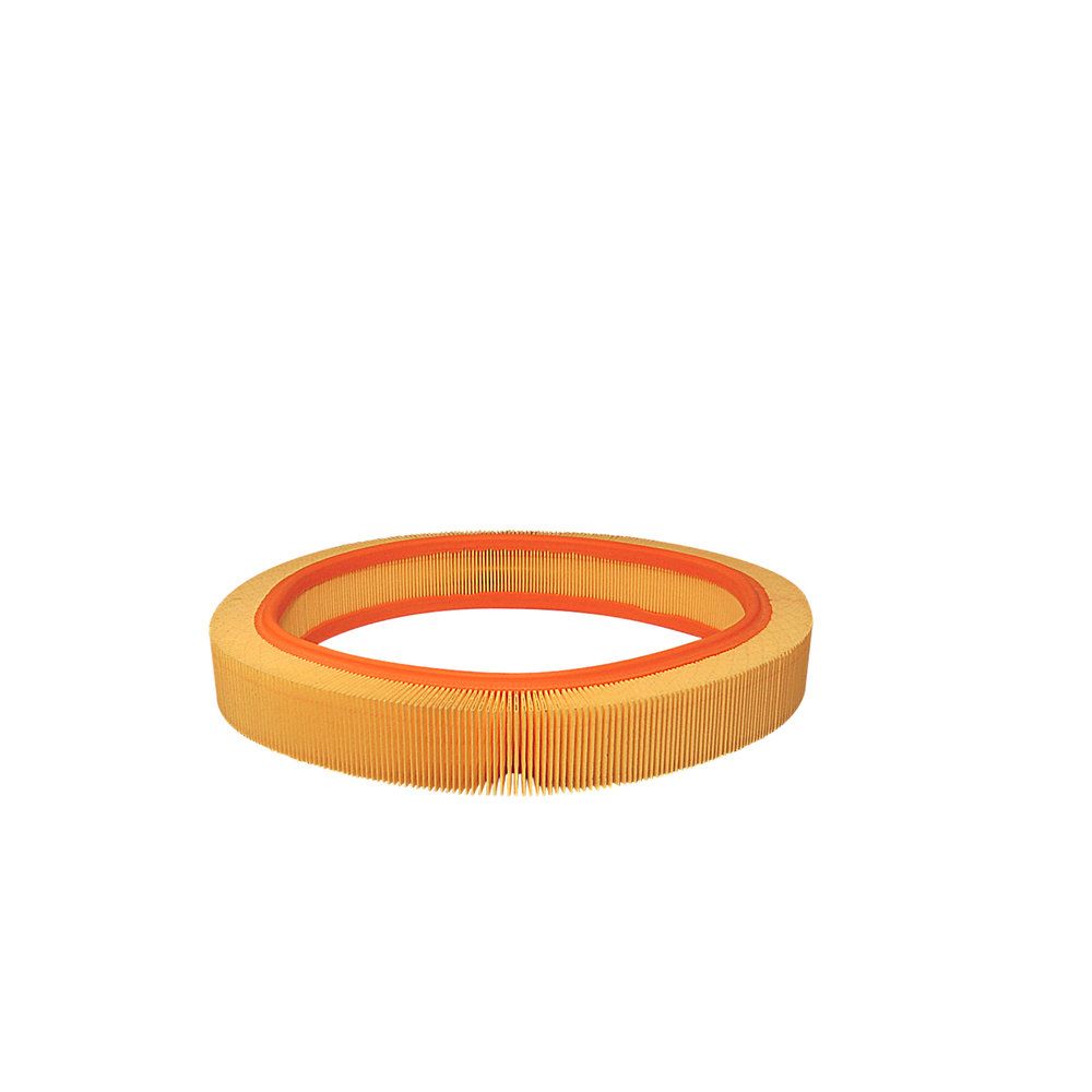 Повітряний фільтр FILTRON AR033 - zapix