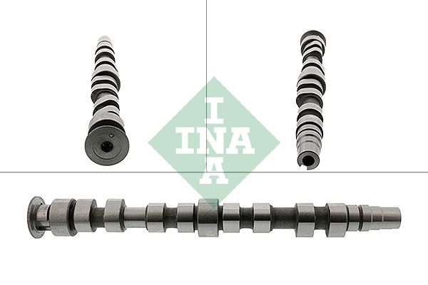 Розподільний вал SCHAEFFLER INA 428016910 - zapix