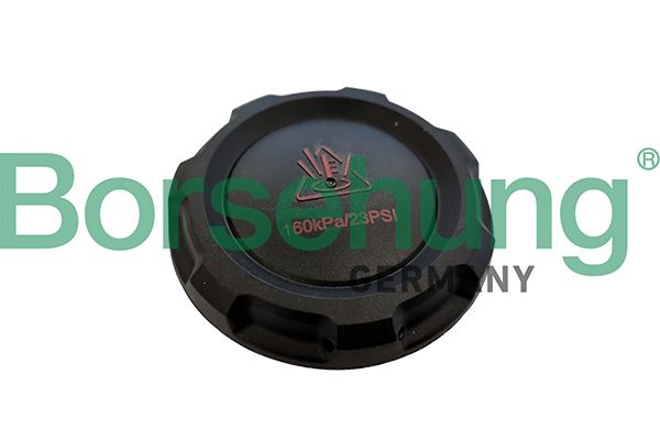 Кришка розширювального бачка BORSEHUNG B12203 - zapix
