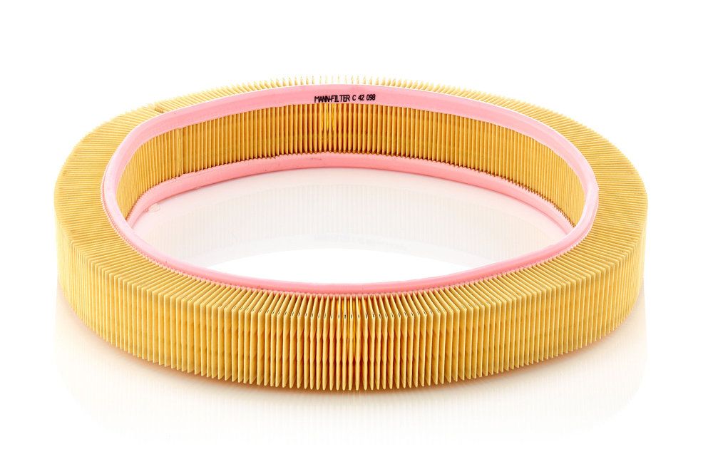 Повітряний фільтр MANN-FILTER C42098 - zapix