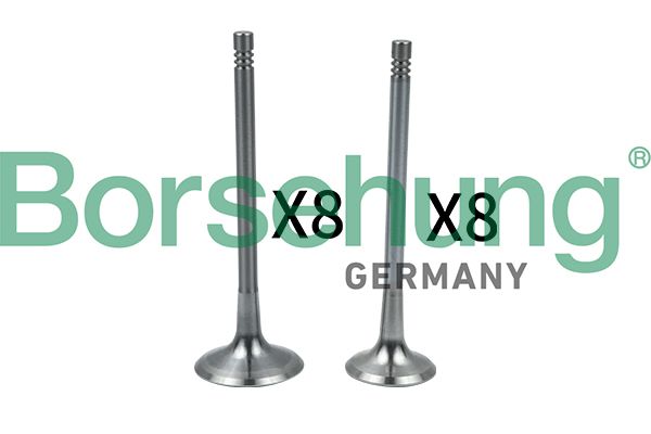 Впускний клапан BORSEHUNG B18634 - zapix
