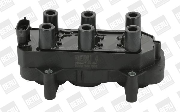 Котушка запалювання BORGWARNER (BERU) ZS306 - zapix
