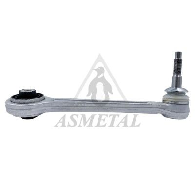 Важіль підвіски ASMETAL 23BM0333B - zapix