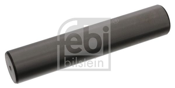 Шкворінь підвіски FEBI BILSTEIN 19164 - zapix