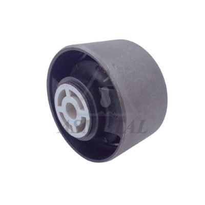 Опора двигуна ASMETAL 45PE0650 - zapix