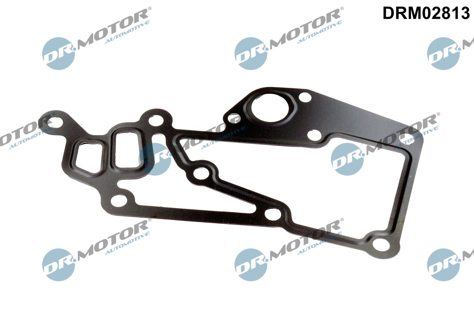 Прокладка термостата DR.MOTOR AUTOMOTIVE DRM02813 - zapix