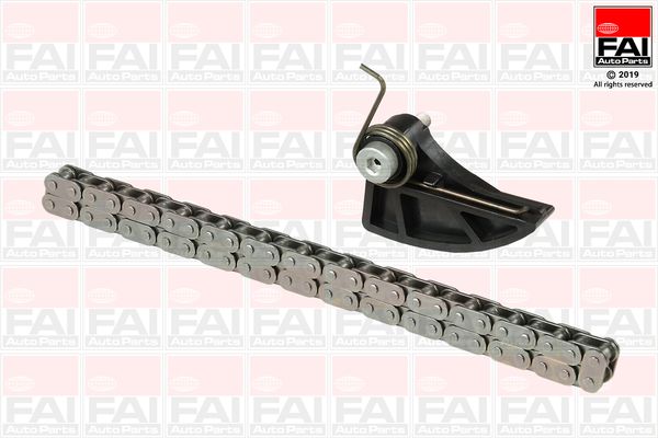 Приводний ланцюг оливного насоса FAI AUTOPARTS OPCK87 - zapix