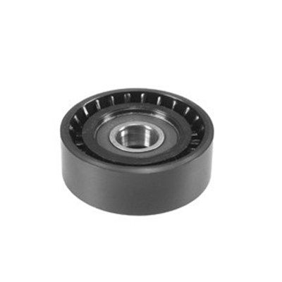 Обвідний ролик ременя приводного MAGNETI MARELLI 331316170027 - zapix