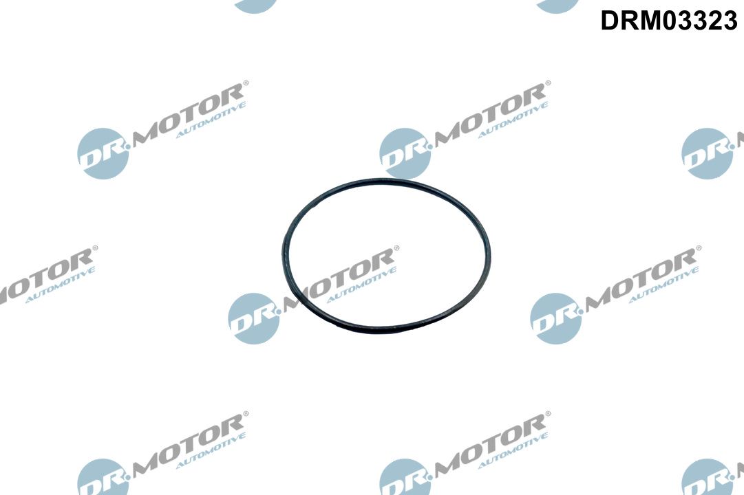 Прокладка дросельної заслонки DR.MOTOR AUTOMOTIVE DRM03323 - zapix