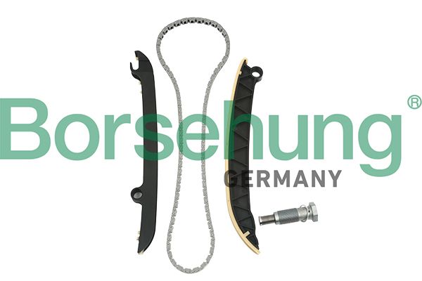 Комплект ланцюгів привода BORSEHUNG B18843 - zapix