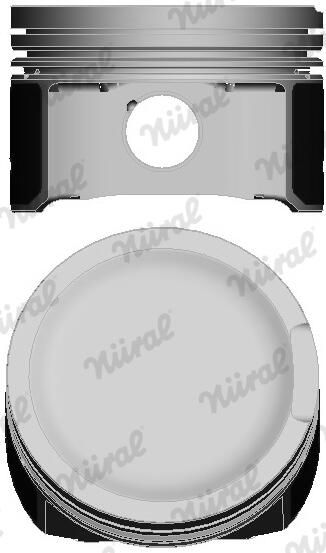 Поршень NÜRAL 8750290030 - zapix