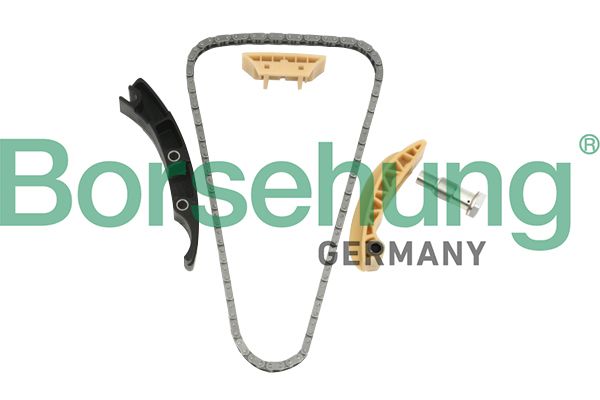 Комплект ланцюгів привода BORSEHUNG B10208 - zapix