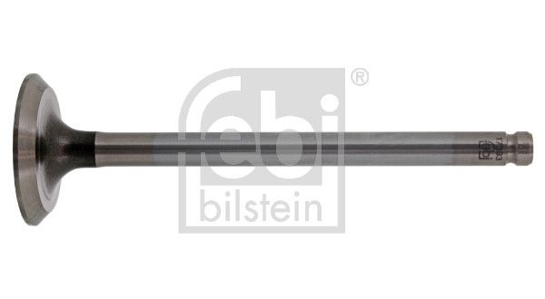 Випускний клапан FEBI BILSTEIN 17393 - zapix