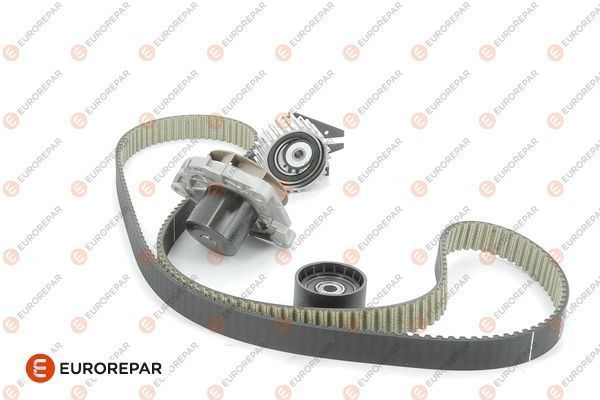 Комплект ременя ГРМ EUROREPAR 1611886080 - zapix