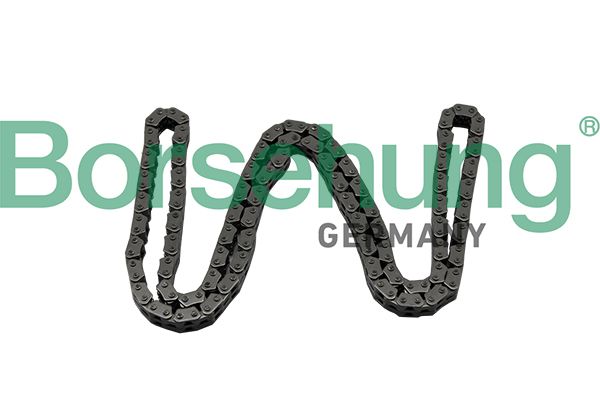Ланцюг привода BORSEHUNG B17886 - zapix