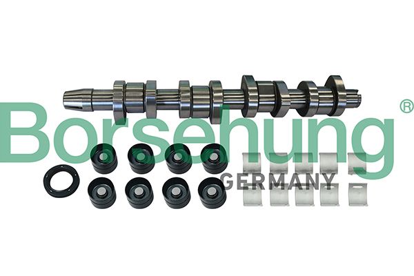 Розподільний вал BORSEHUNG B11307 - zapix