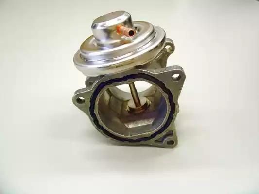 Клапан EGR BORGWARNER (WAHLER) 7496D - zapix