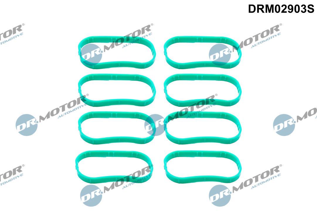 Прокладка впускного колектора DR.MOTOR AUTOMOTIVE DRM02903S - zapix