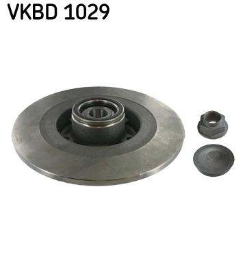 Гальмівний диск SKF VKBD1029 - zapix