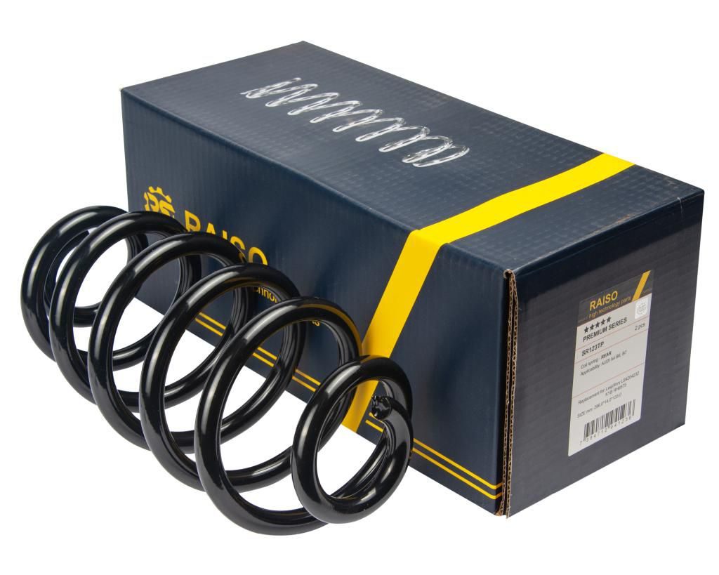 Пружина підвіски RAISO SR123TP - zapix