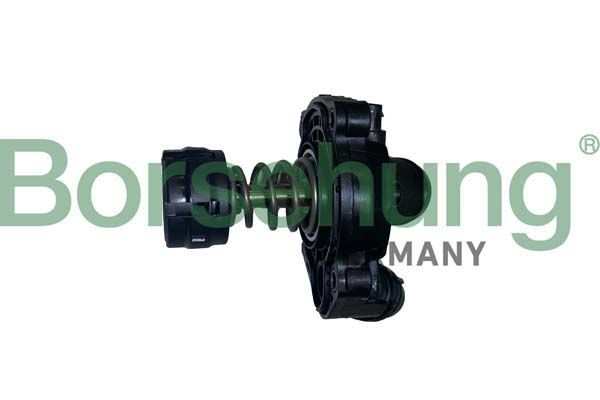 Термостат BORSEHUNG B10554 - zapix