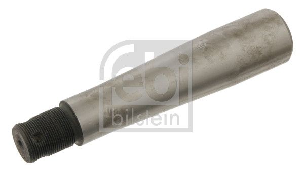 Шкворінь підвіски FEBI BILSTEIN 30592 - zapix