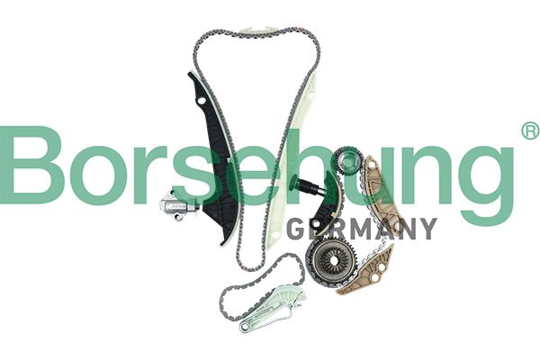 Комплект ланцюгів привода BORSEHUNG B16298 - zapix