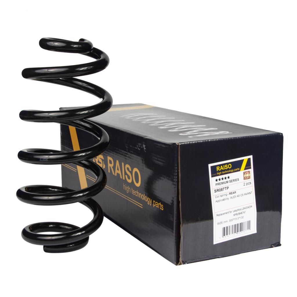 Пружина підвіски RAISO SR087TP - zapix