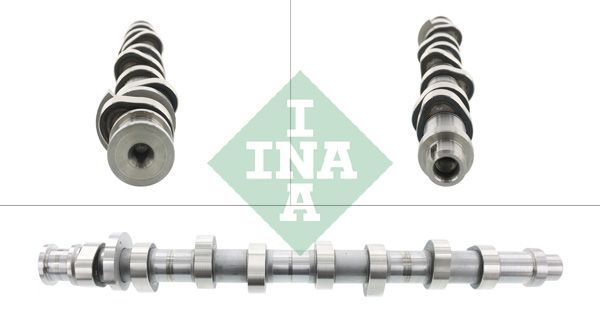 Розподільний вал SCHAEFFLER INA 428016110 - zapix