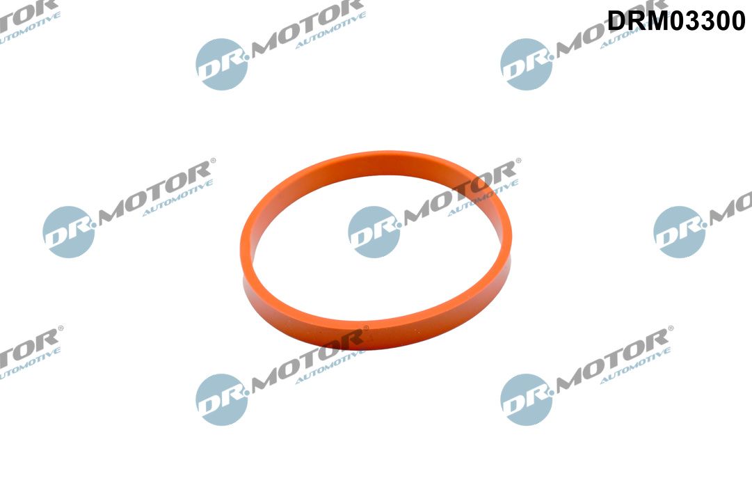 Прокладка дросельної заслонки DR.MOTOR AUTOMOTIVE DRM03300 - zapix