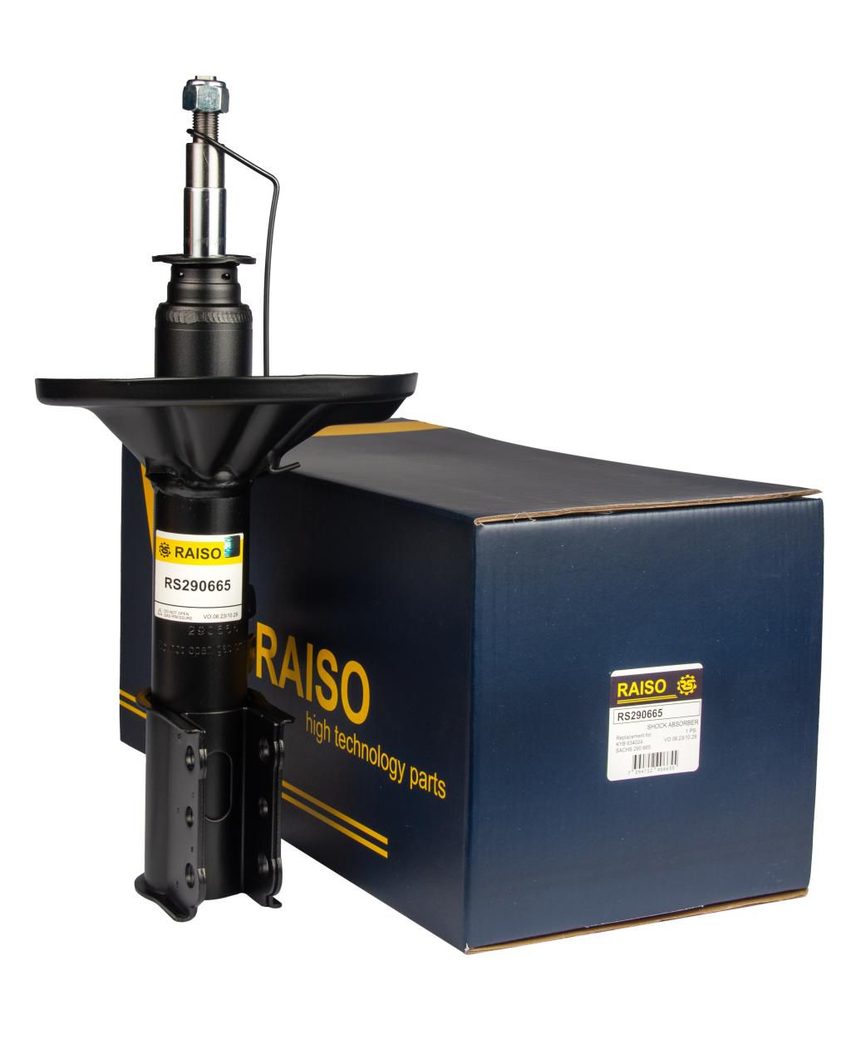 Амортизатор RAISO RS290665 - zapix