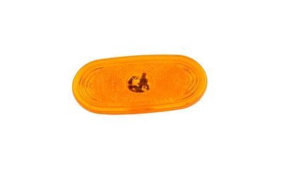 Вказівник повороту BSG60810008 - zapix