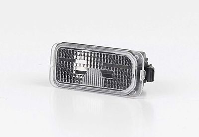 Ліхтар номерного знака BSG30818002 - zapix