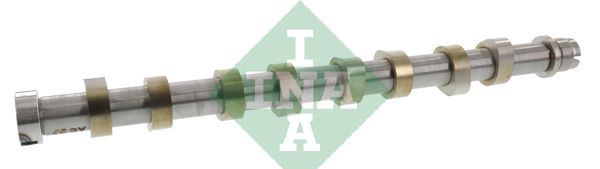 Розподільний вал SCHAEFFLER INA 428011810 - zapix