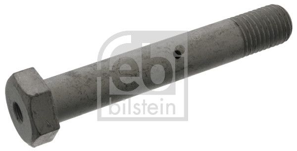 Кріплення ресори FEBI BILSTEIN 48393 - zapix