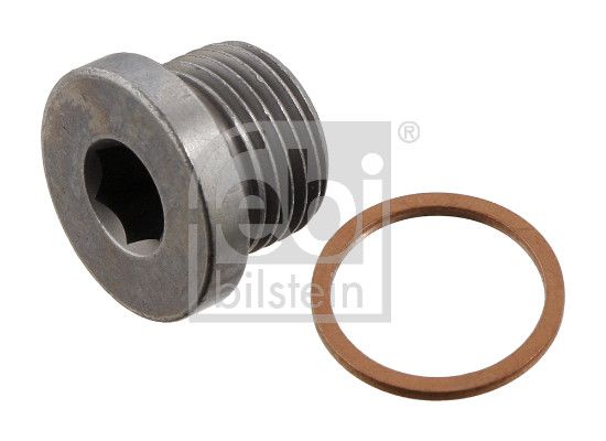 Пробка зливна оливного піддона FEBI BILSTEIN 48895 - zapix