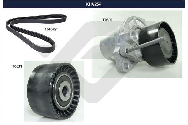 Комплект поліклинових ременів HUTCHINSON KHV254 - zapix
