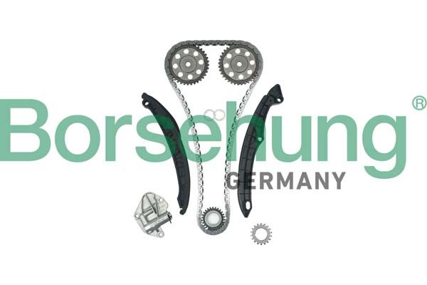 Комплект ланцюгів привода BORSEHUNG B16296 - zapix