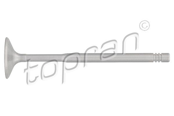 Впускний клапан TOPRAN 107134 - zapix