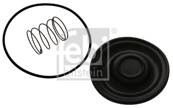 Мембрана клапана вентиляції картера FEBI BILSTEIN 45172 - zapix