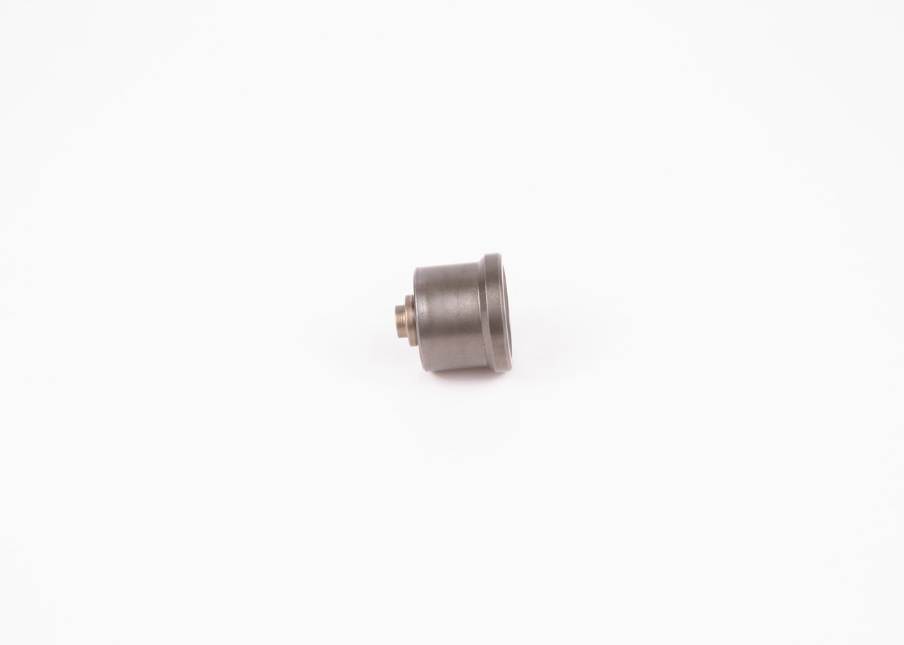 Клапан ПНВТ BOSCH 2418552103 - zapix