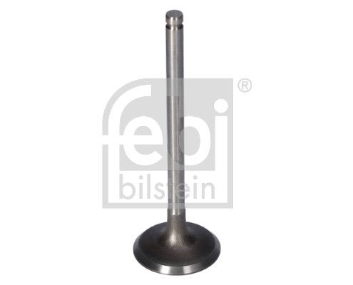 Впускний клапан FEBI BILSTEIN 181650 - zapix